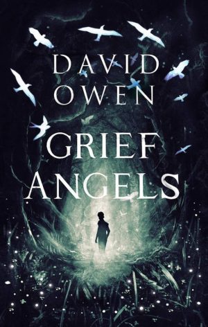 Grief Angles by David Owen