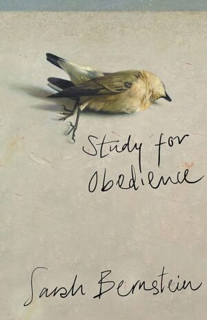 Study for Obedience by Sarah Bernstein